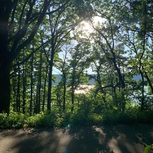 Hudson River from Inwood Hill Park